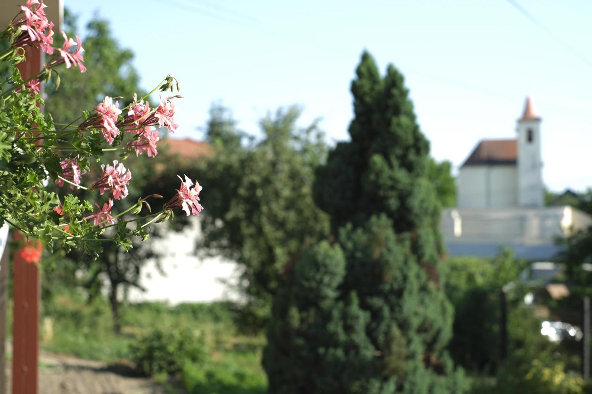 Panoráma Apartmanház Sarvar Exterior foto