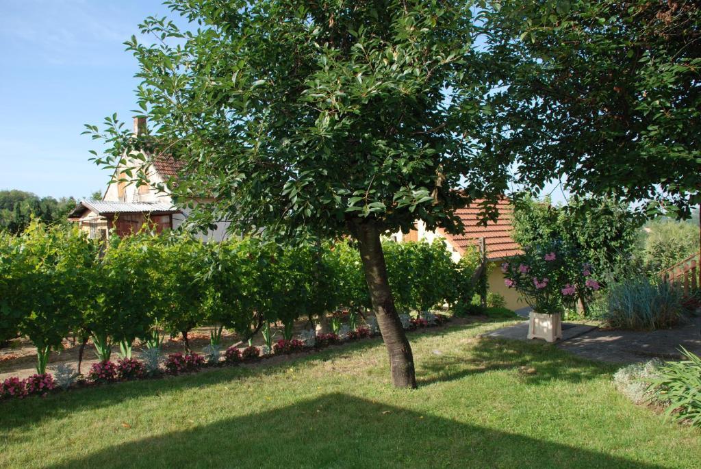 Panoráma Apartmanház Sarvar Exterior foto